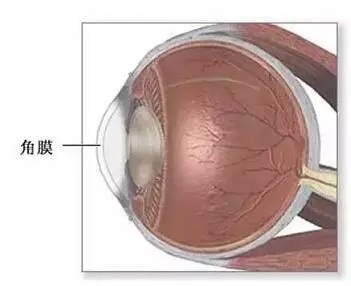 一眼萬年幾度輪回:華德眼科角膜移植全攻略