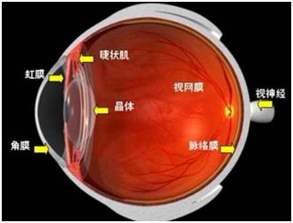 角膜移植是怎么回事？