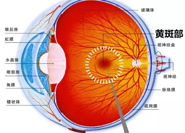 眼科醫生：在黑暗中看手機會患上“眼癌”？